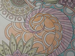 whatsapp image 2026-01-23 at 17.11.14